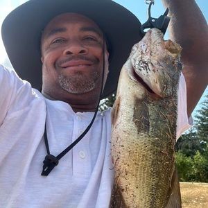 Meet your Posher, Kane